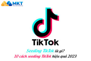 Seeding TikTok