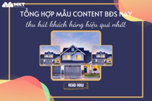 content bđs