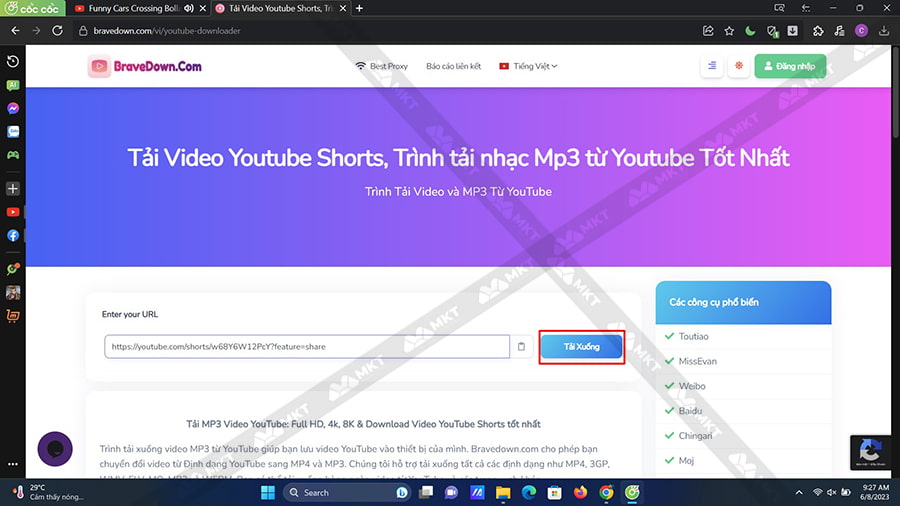 Dán link video Shorts vừa sao chép vào ô nhập liệu của BraveDown.com => chọn Tải xuống