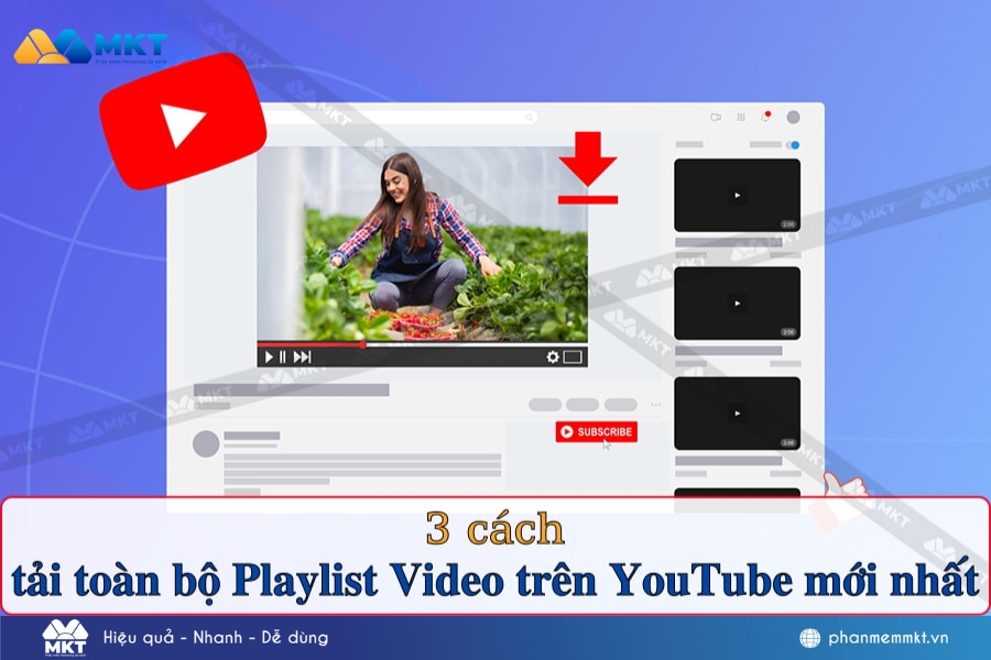 Cách tải toàn bộ Playlist Video trên YouTube dễ nhất