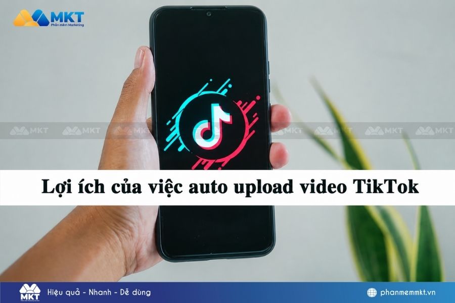 Cách auto upload TikTok đơn giản, hiệu quả 2026 2 Auto upload TikTok