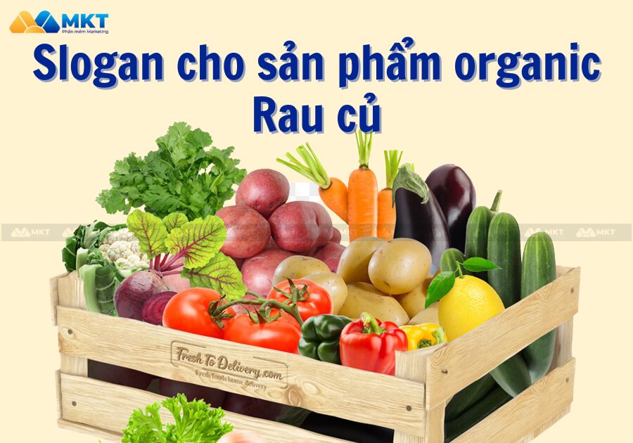 Slogan cho sản phẩm organic - Rau củ