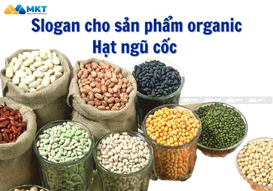 Slogan cho sản phẩm organic - Hạt ngũ cốc