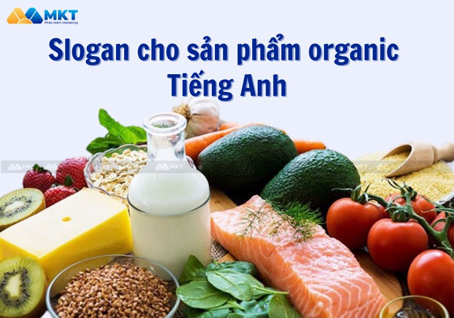 Slogan cho sản phẩm organic Tiếng Anh