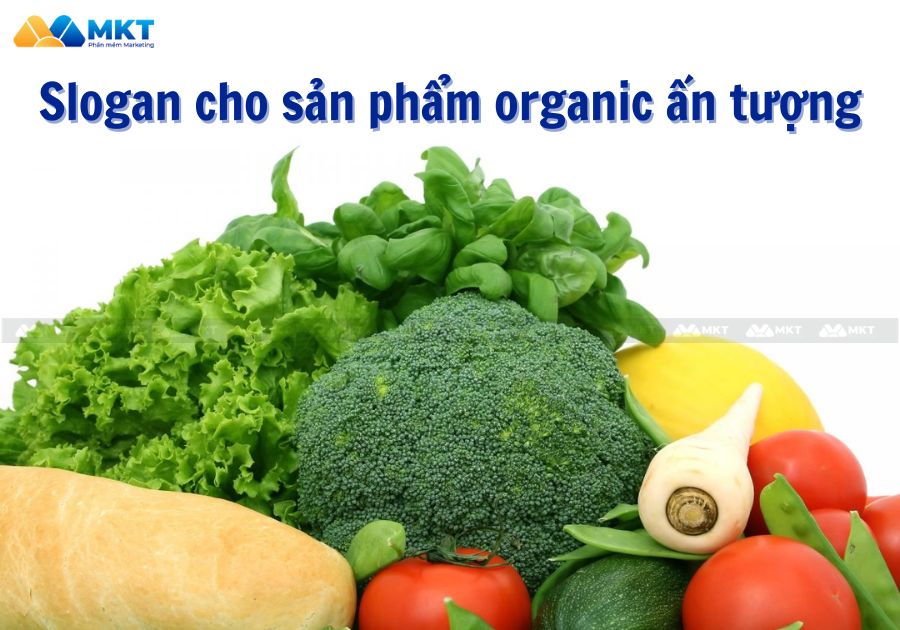 Slogan cho sản phẩm organic cực ấn tượng 