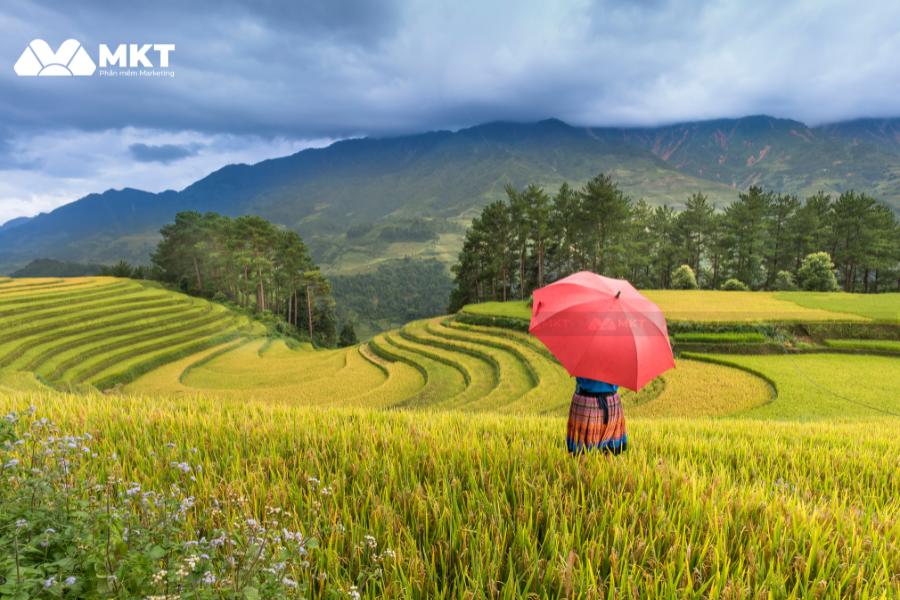 Stt thả thính về Sapa lãng mạn