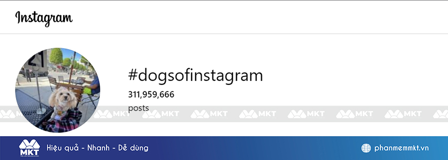 Có 311,9 triệu bài đăng sử hashtag #DogsofInstagram trên Instagram