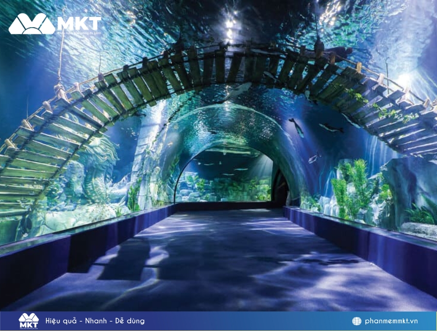 Lotte World Aquarium Hanoi (Thủy cung)