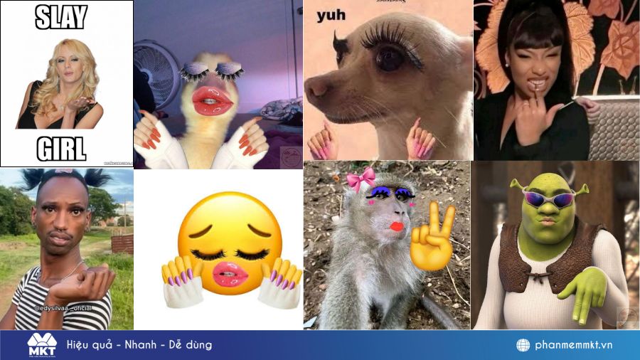 Tổng hợp một số meme hay về Slay Slay là gì trên TikTok?