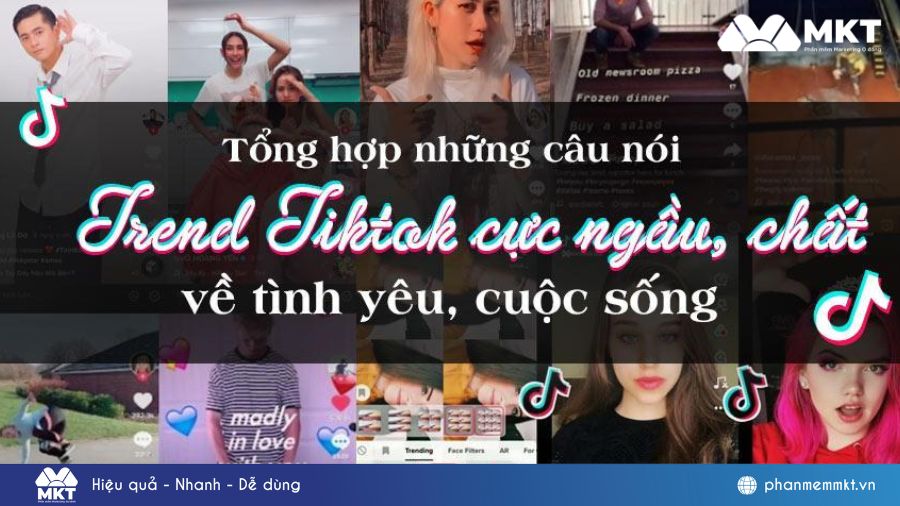 những câu nói trend Tiktok
