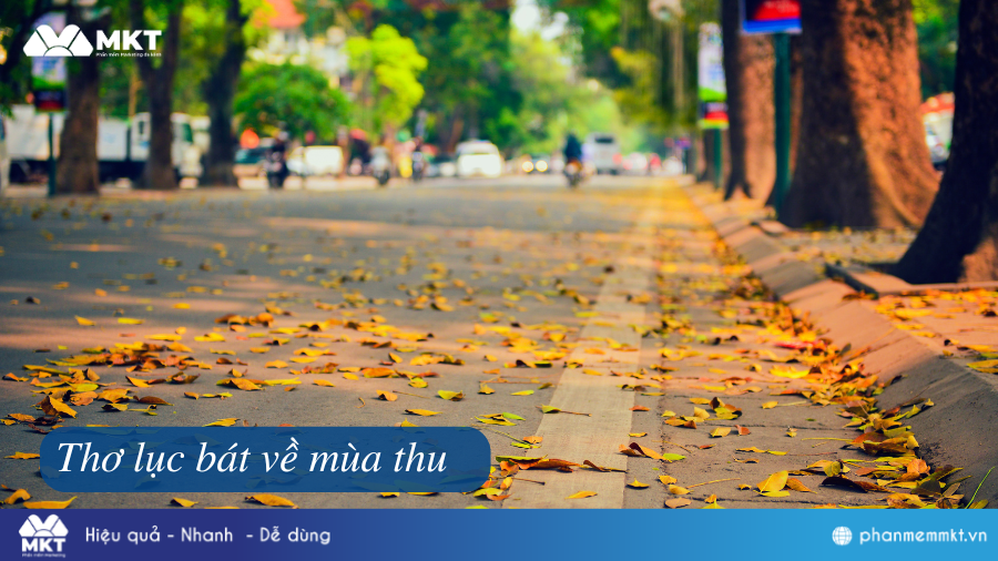 Những câu thơ ngắn về mùa thu buồn, lãng mạn