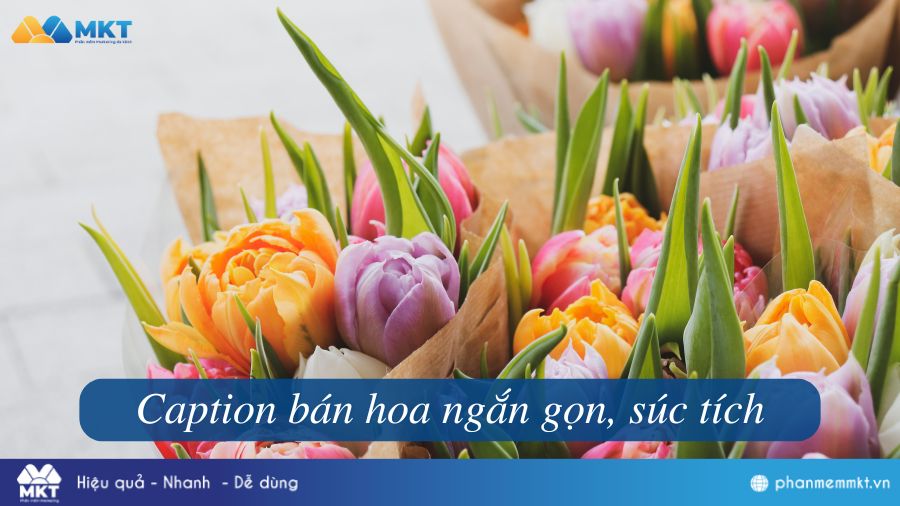 15+ Mẫu Content Bán Hoa Ngắn, Hay, Thu Hút Khách Hàng