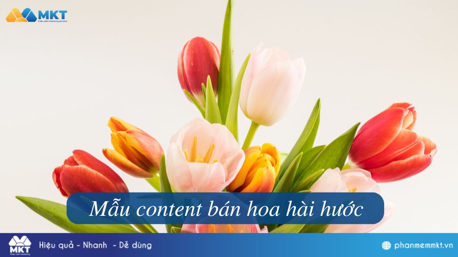 15+ Mẫu Content Bán Hoa Ngắn, Hay, Thu Hút Khách Hàng