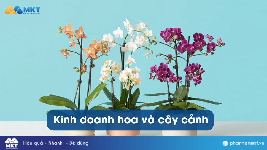 Cuối năm nên kinh doanh mặt hàng gì - Kinh doanh hoa và cây cảnh