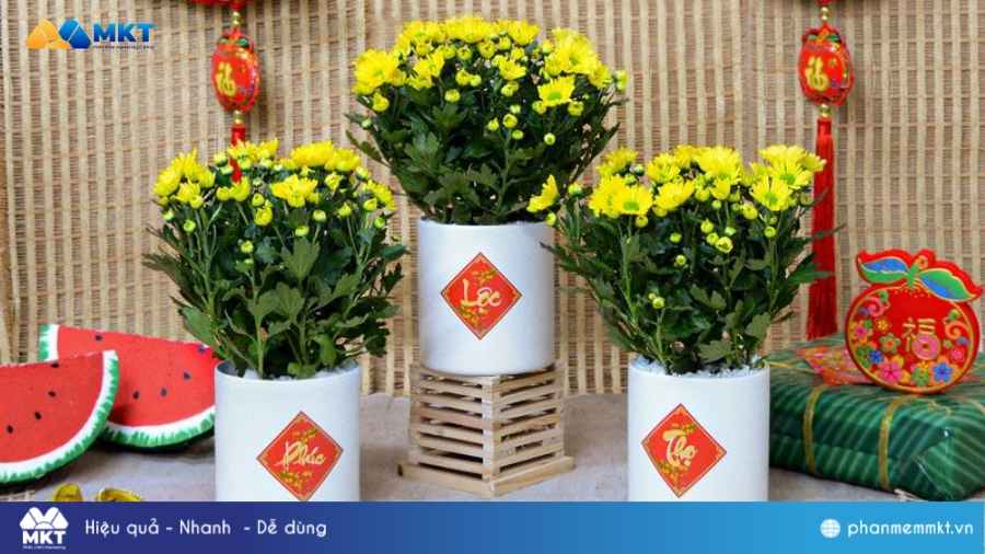 Trang trí Tết văn phòng Trang trí Tết văn phòng