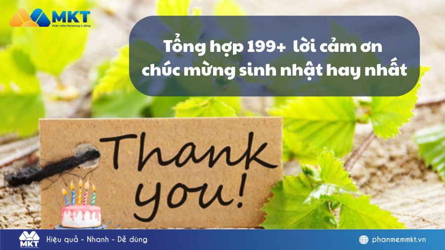 Tổng hợp 199+ những lời cảm ơn chúc mừng sinh nhật hay nhất 4 lời cảm ơn chúc mừng sinh nhật