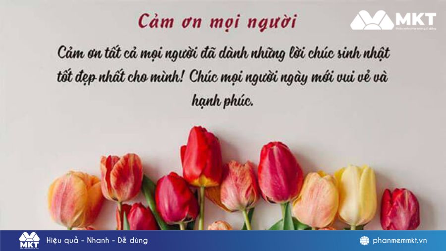 20+ Lời cảm ơn chúc mừng sinh nhật trên Facebook lời cảm ơn chúc mừng sinh nhật