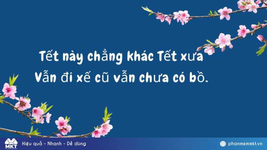 STT chúc mừng năm mới