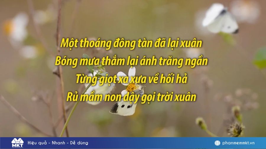 90+ Stt mùa xuân hài hước và độc đáo 