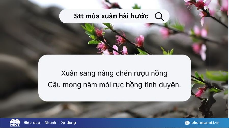 90+ Stt mùa xuân hài hước và độc đáo 