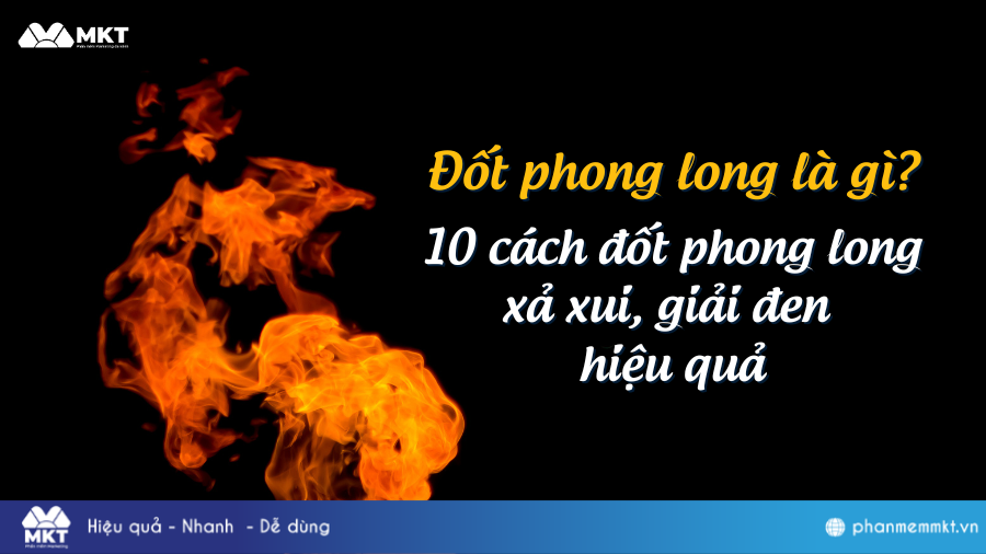 Đốt phong long là gì? 10 cách đốt phong long giải đen dân kinh doanh nên biết