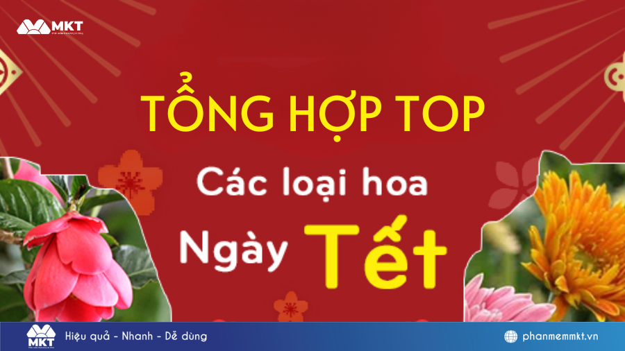 các loại hoa bán chạy ngày tết