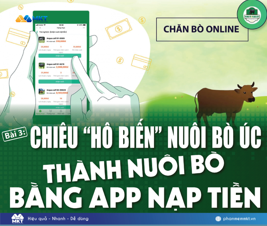 App kiếm tiền lừa đảo Chăn Bò Online 