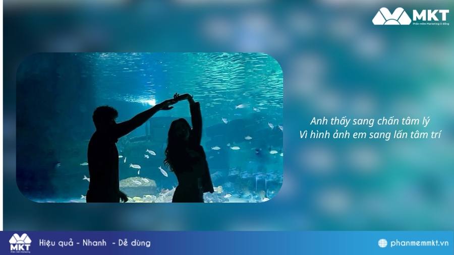 Status 8/3 thả thính Những lời chúc 8/3 hay nhẩ