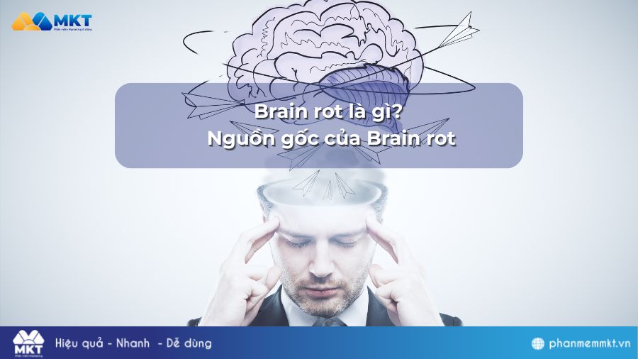 Nguồn gốc của Brain rot Brain rot là gì? Nguồn gốc của Brain rot