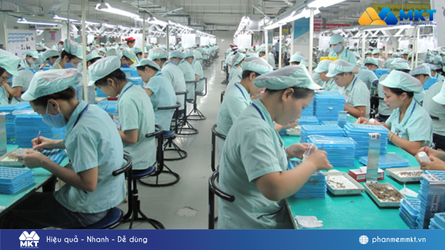 Biểu đồ xương cá là gì? Và cách ứng dụng hiệu quả