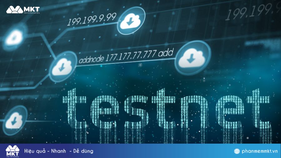 Thực hiện các hoạt động Testnet