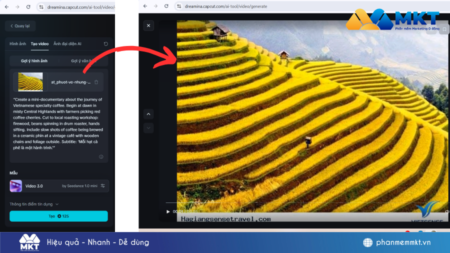 Tổng hợp các lỗi thường gặp khi tạo video trên Seedance 1.0