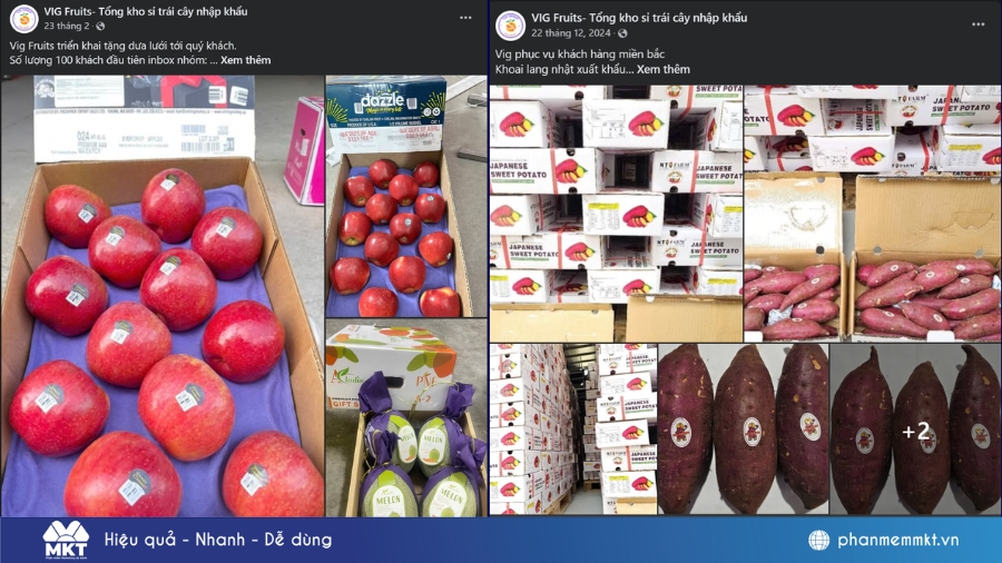 Sản phẩm hoa quả nhập khẩu chất lượng của VIG Fruits