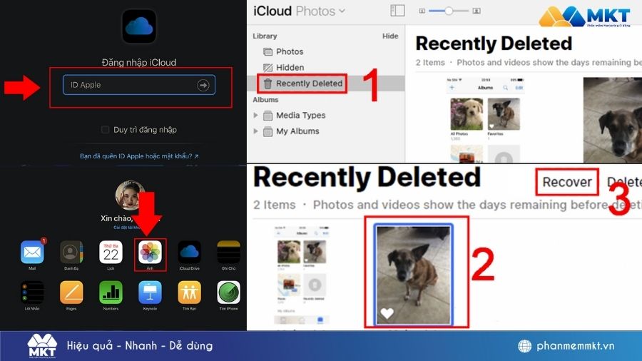 cách khôi phục ảnh đã xóa vĩnh viễn trên iPhone