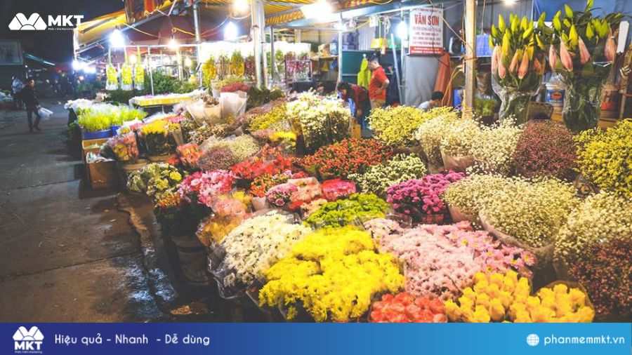 Nguồn lấy hoa tươi chất lượng, giá hoa tại vườn 