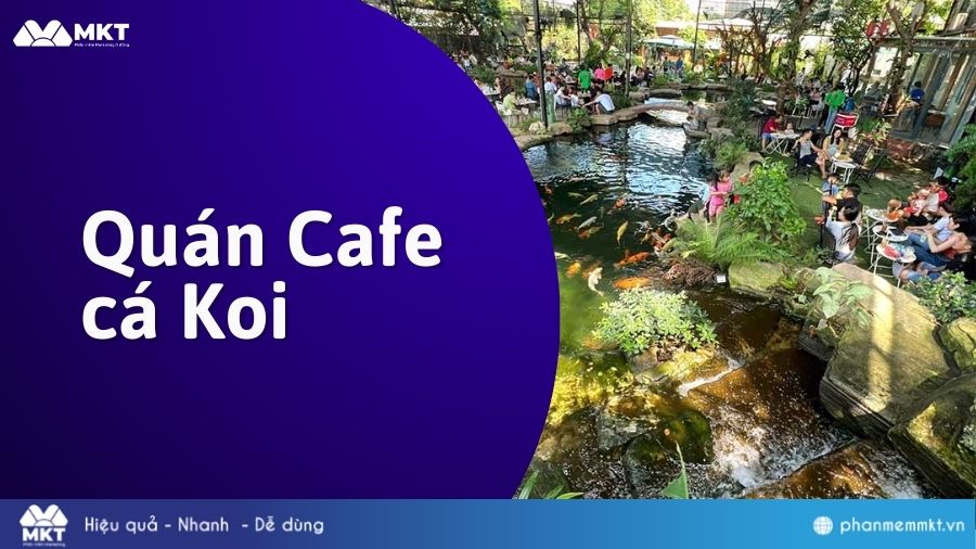 Mở quán Cafe cá Koi