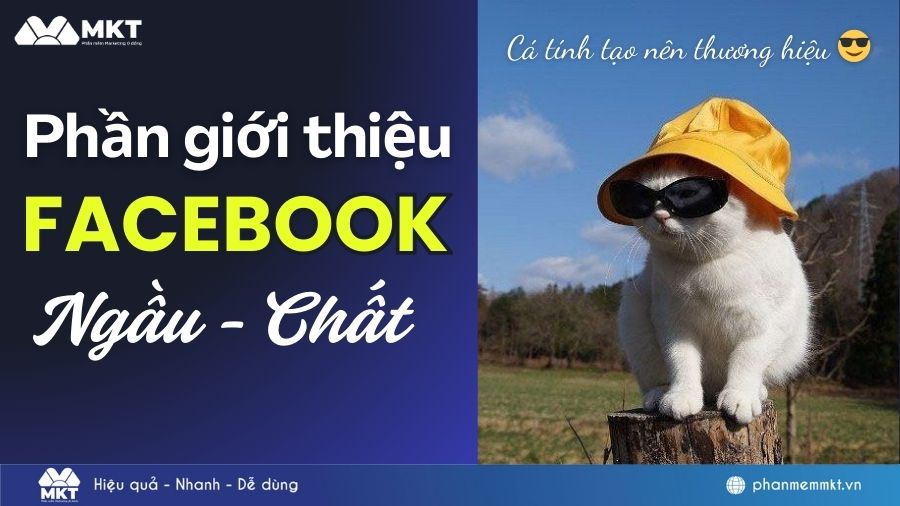 phần giới thiệu Facebook hay