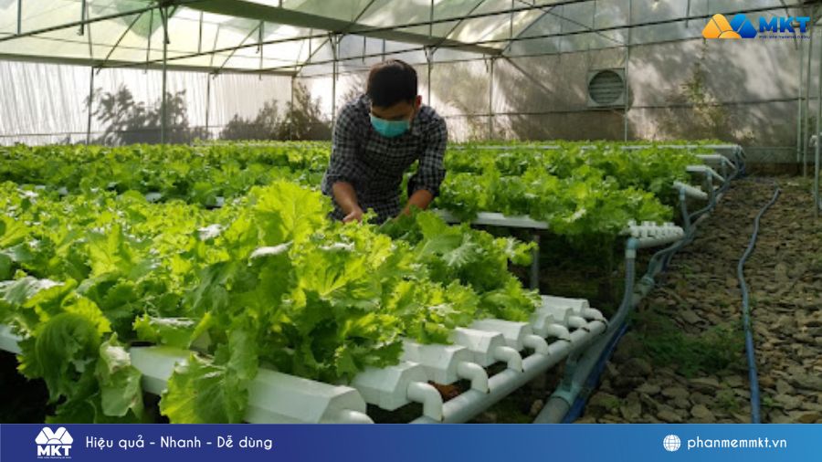 Vốn 100tr nên kinh doanh gì ở nông thôn