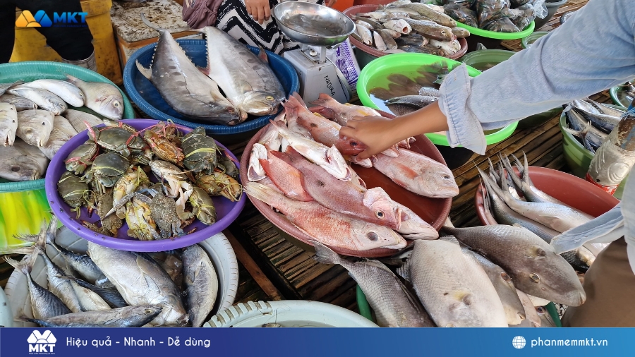 Kinh doanh Hải sản Tươi sống & Đặc sản Biển Xuất khẩu