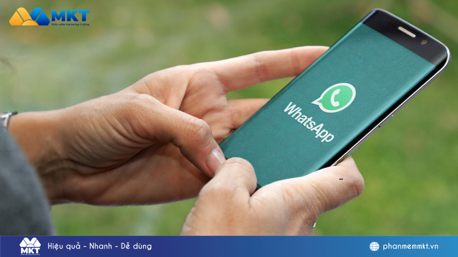 Cách bán hàng trên WhatsApp cho người mới bắt đầu