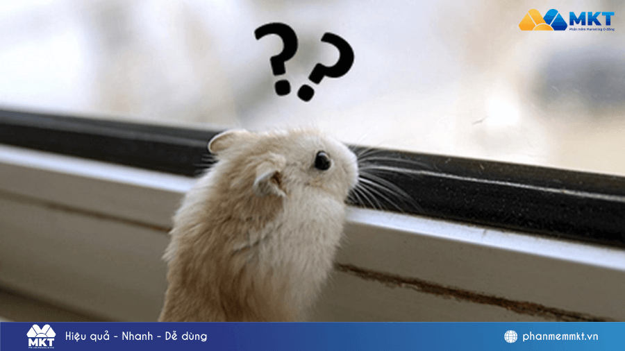 Những câu hook mở đầu hay TikTok