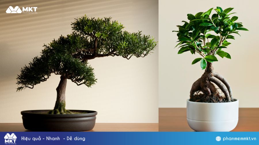 Ý tưởng tặng quà Tết cho khách hàng: Quà Tết xanh