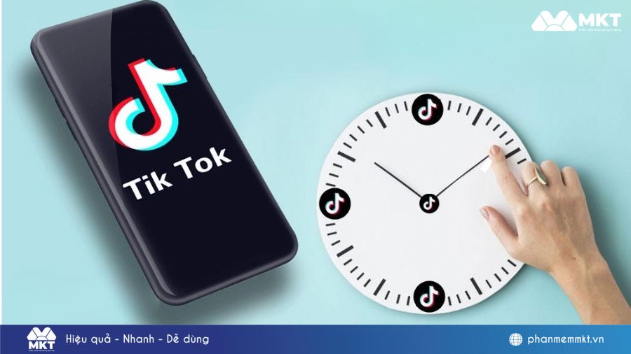 Đăng clip đều đặn thường xuyên Cách xây dựng kênh TikTok cá nhân đơn giản cho người mới