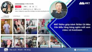 post Case study 5 Kênh TikTok Cô Mèo Văn Mẫu