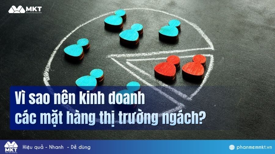 Lợi ích của kinh doanh các mặt hàng thị trường ngách Vì sao nên kinh doanh các mặt hàng thị trường ngách?