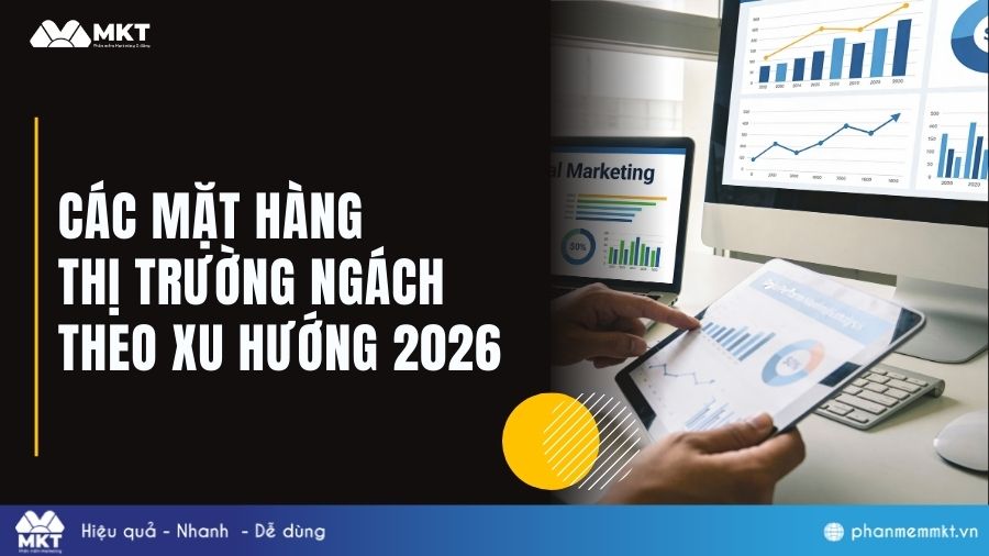 Danh sách các mặt hàng thị trường ngách theo xu hướng 2026 9 Các mặt hàng thị trường ngách tiềm năng