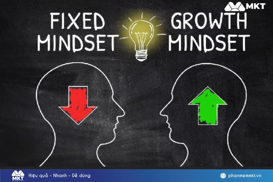 Hai loại Mindset cơ bản Hai loại Mindset cơ bản