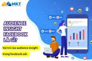 audience insight facebook