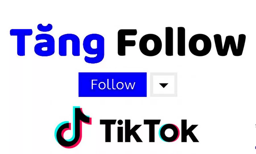 Những cách tăng follow TikTok ngoài cách sử dụng SCLK