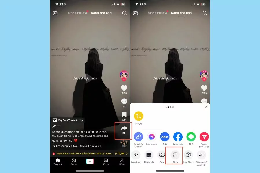 stitch trên tiktok là gì